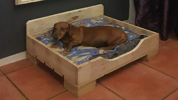 Dog Bed